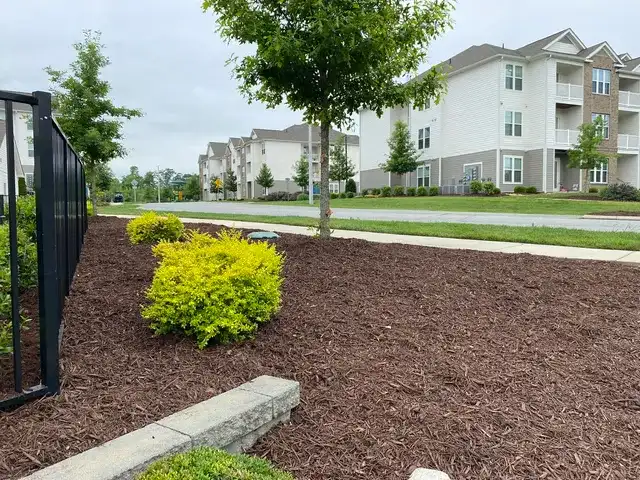 Residential landscape design project in North Carolina