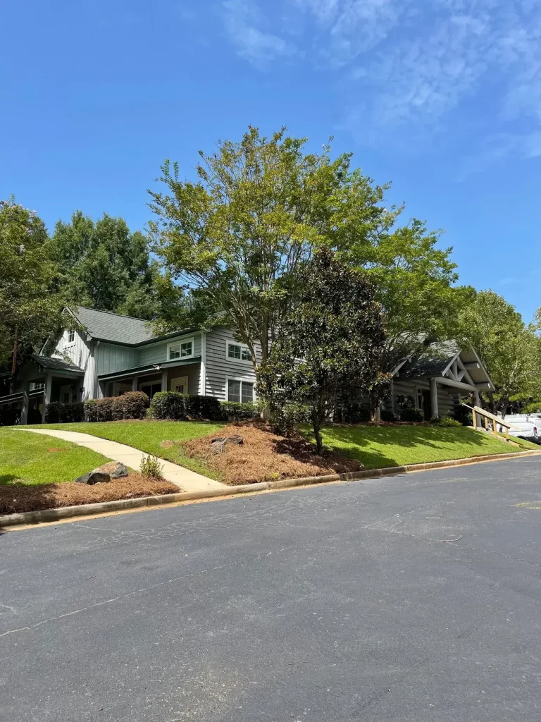 Professional landscaping project in North Carolina